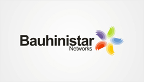 Internet network logo design, Bauhinia logo