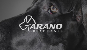 Breeder of great dane, Great dane dog logo